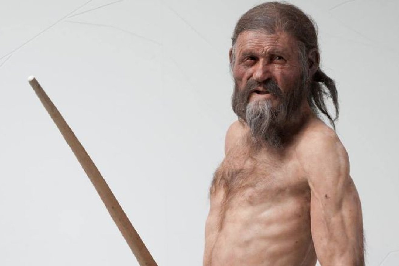 An Australian scientist has helped researchers build a picture of the final meal eaten by the iceman, Otzi.