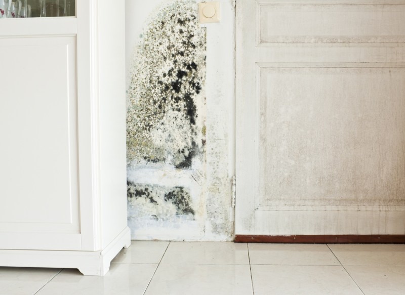 Mould growth on wall and damp-stained wood door.