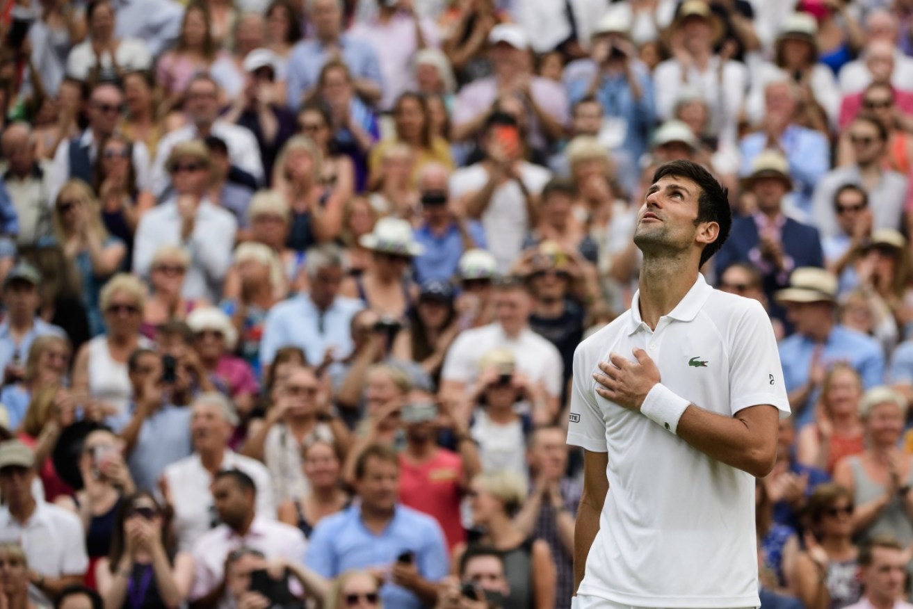 Novak Djokovic's victory over an in-form Nadal never looked assured.