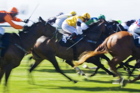 Donations from gambling, horse racing firms surge