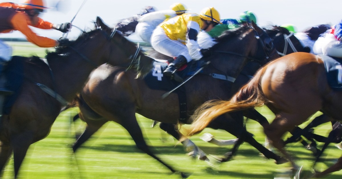 Political donations from gambling and horse racing surge