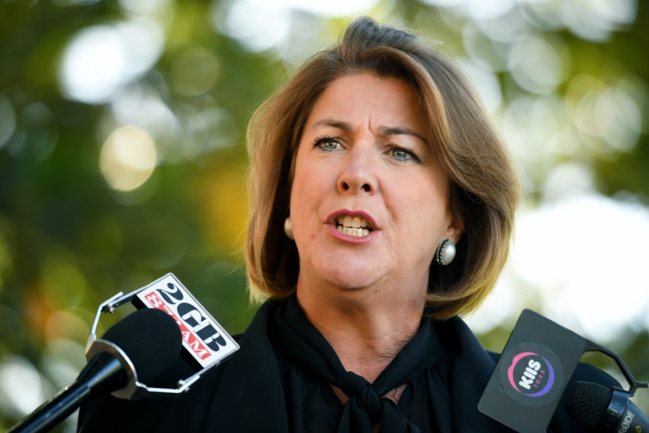Roads Minister Melinda Pavey announced the demerit point penalty increase on Tuesday.