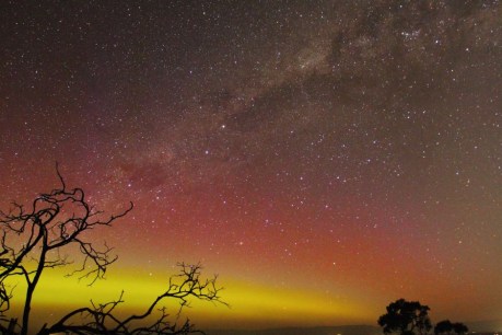 Heavens above! July is the perfect month to appreciate the night sky