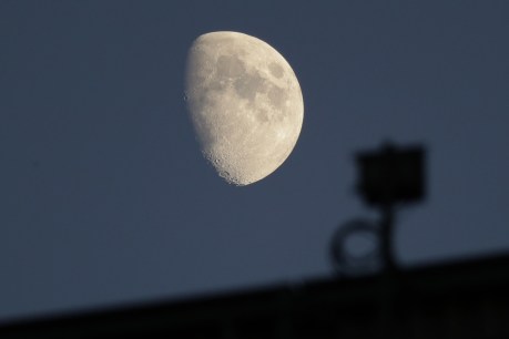 Moon might have supported life: scientists