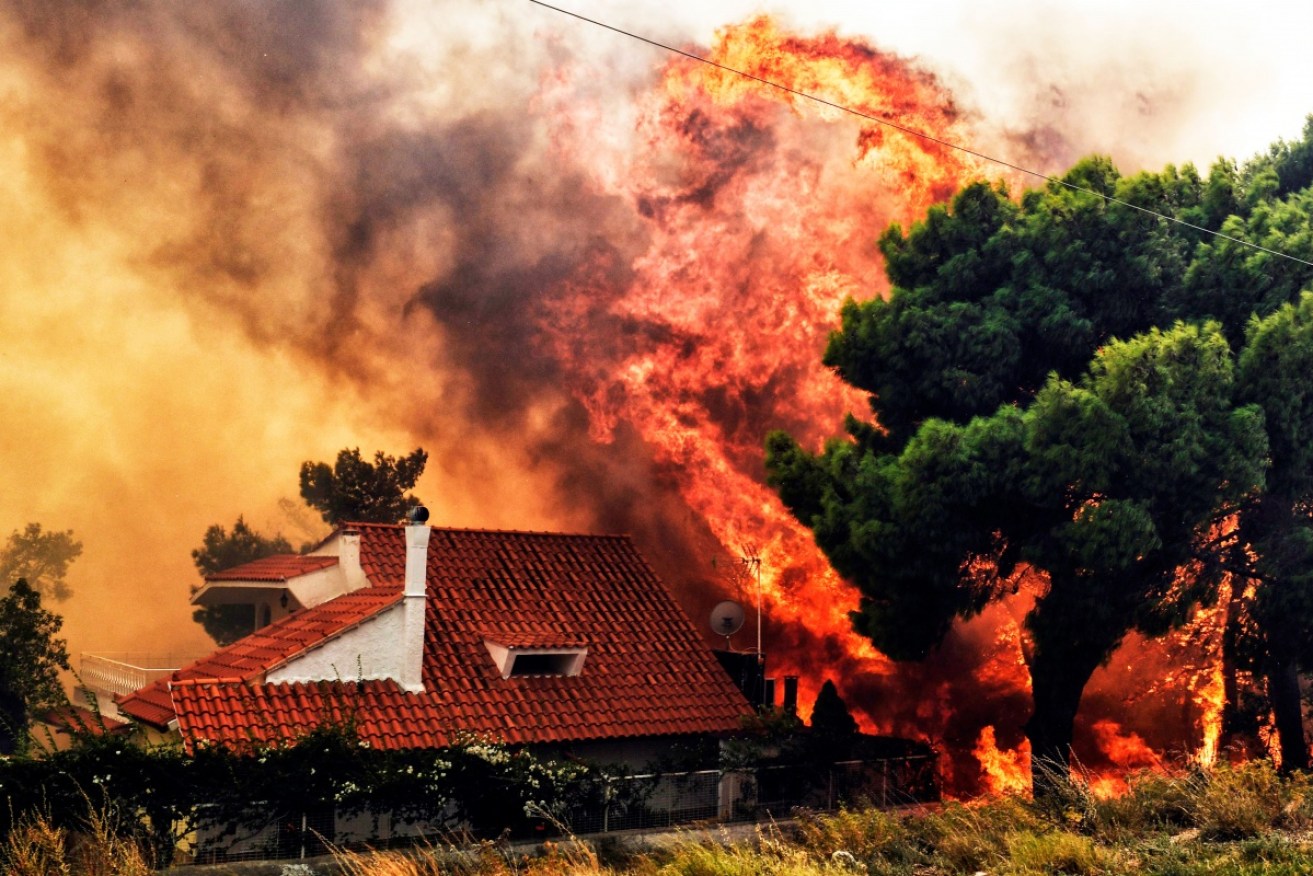 Greece has appealed for international help in battling the fires.