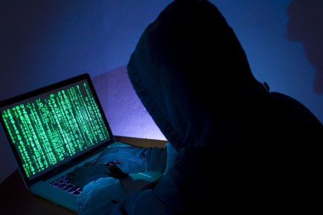 Nearly half of Australian companies hit by cyber crime, survey reveals