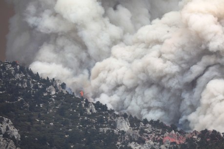 California declares wildfires emergency