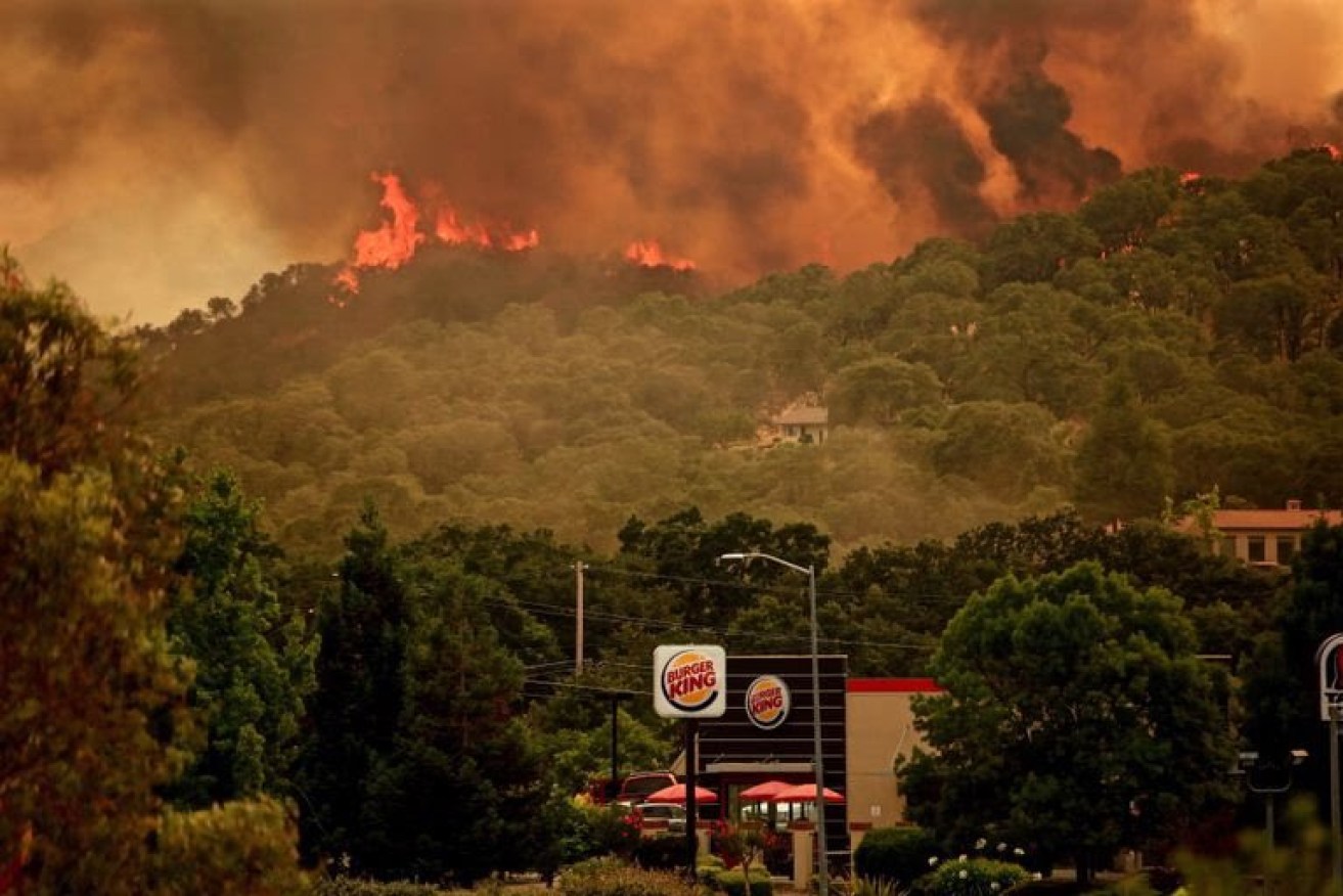 NSW Rural Fire Service are most concerned about forest areas. 