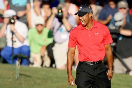 Tiger Woods to return to golf 10 months after near-fatal crash