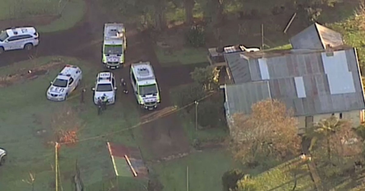 Toddler dies after being mauled by dog