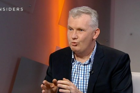Employment Minister Tony Burke scoffs at notion higher pay will drive inflation