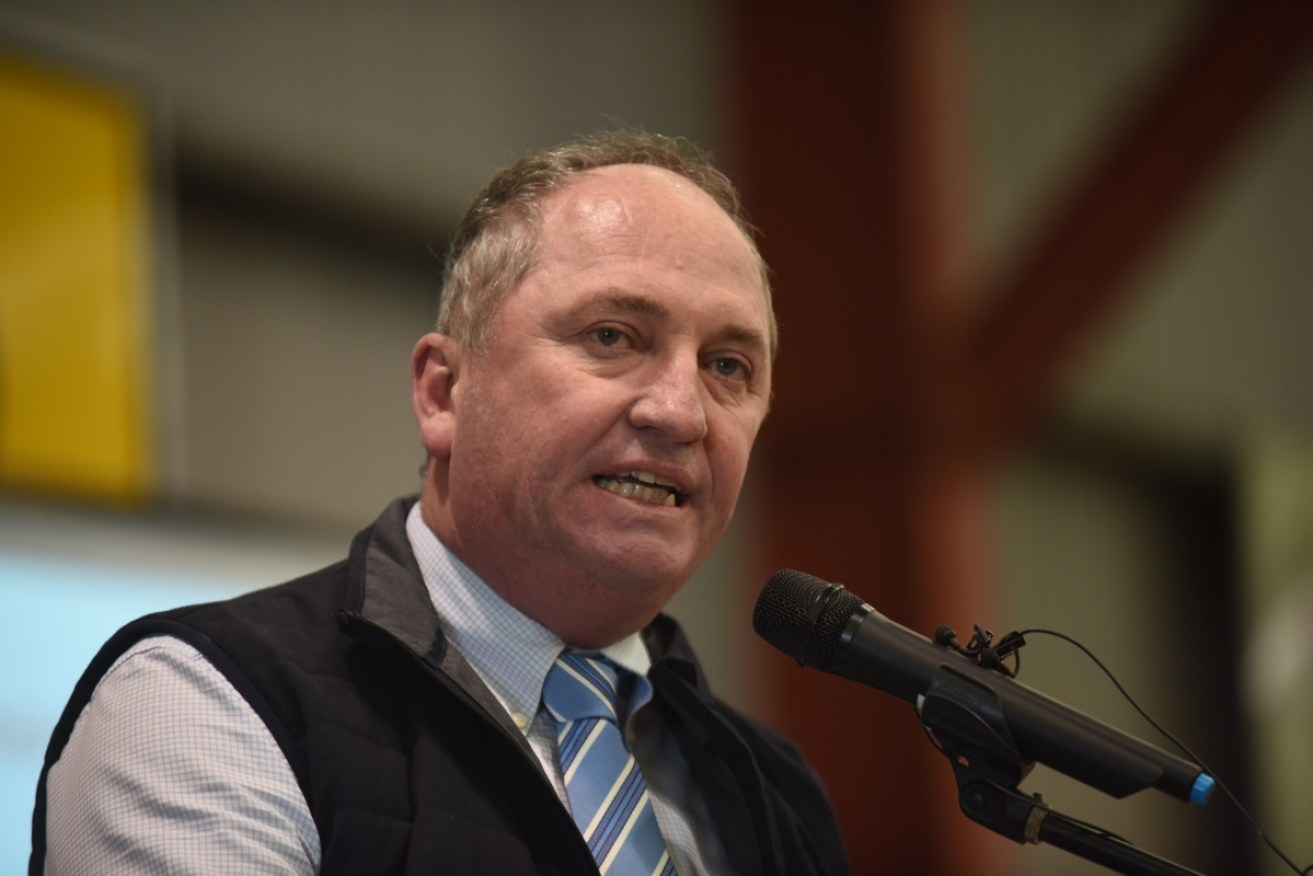 Barnaby Joyce has criticised former prime minister Malcolm Turnbull who confirmed he's been lobbying his former colleagues to refer the Home Affairs Minister to the High Court.