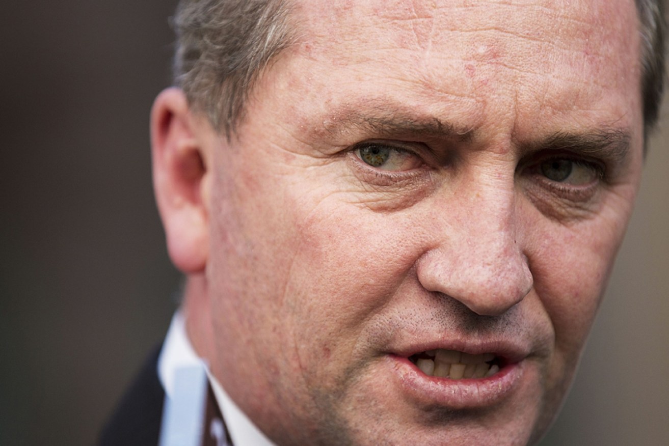 Nationals Senator Barnaby Joyce speaks to the media at Parliament House in June 2013.
