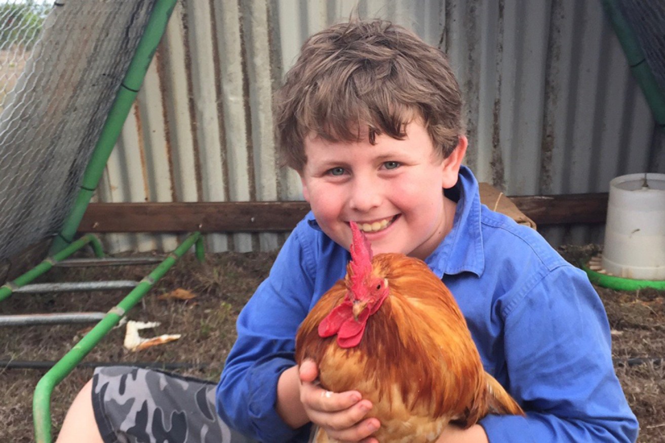 Queensland chook entrepreneur Max Cosgrove has a motto for his merchandise, which includes a chicken feeder: "Eggsellent to the max."
