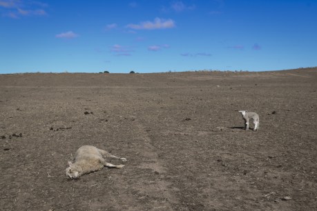 New PM&#8217;s first official visit will be to visit drought-stricken Queensland