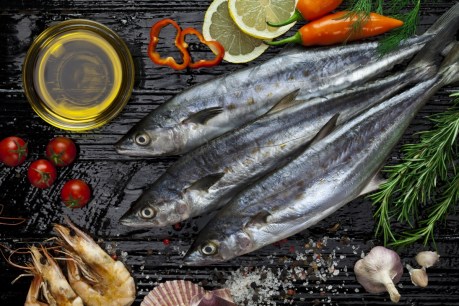 Krill, cod liver or fish oil &#8211; what&#8217;s the difference?