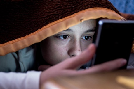 Spendthrift teens saddling their parents with big online bills