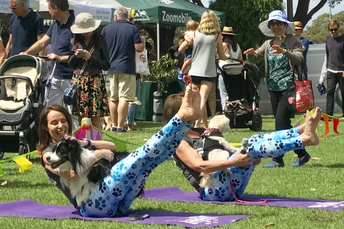 The Rancan Sisters demonstrate how to bond with your four-legged friend through doga at the Mosman Pet Day Out in Sydney's lower north shore. 