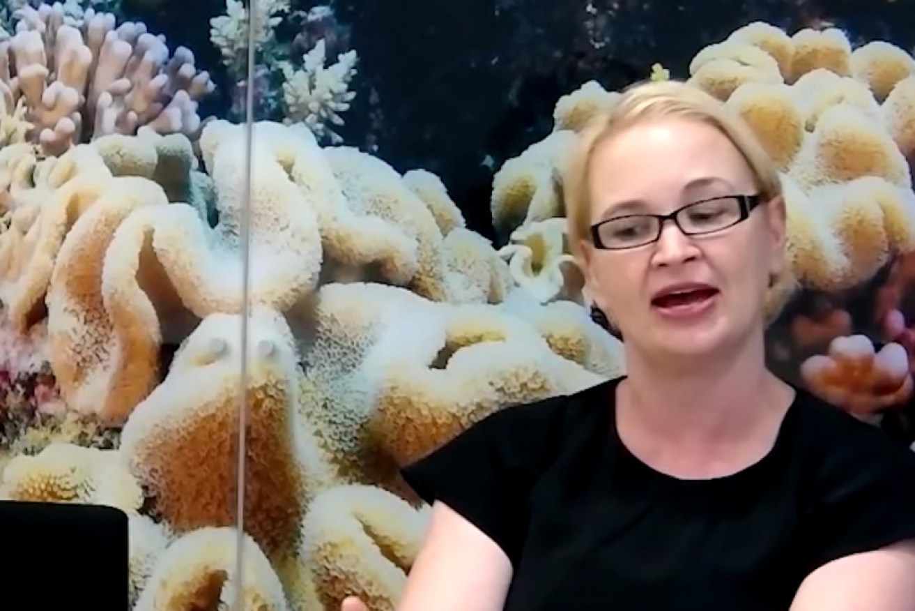 Great Barrier Reef Foundation's Anna Marsden says no one from the charity was contacted by the government.