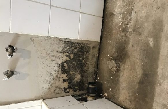 toxic mould growing in bathroom