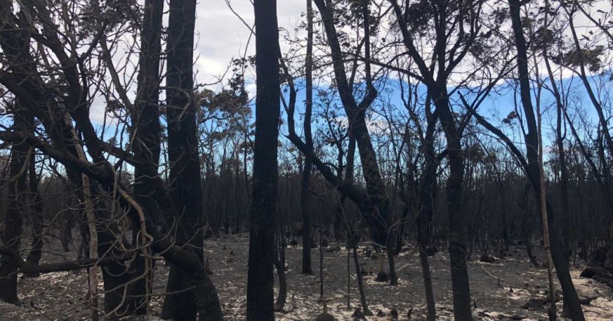 Victoria warned to brace for worst fire season in a decade