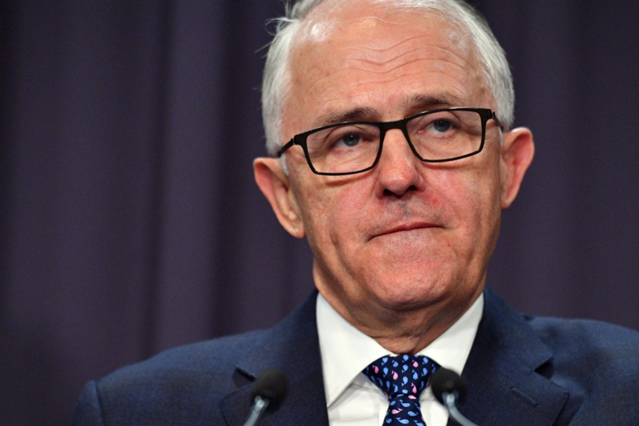 The Liberal Party is incapable of dealing with climate change, former party leader and prime minister Malcolm Turnbull says.
