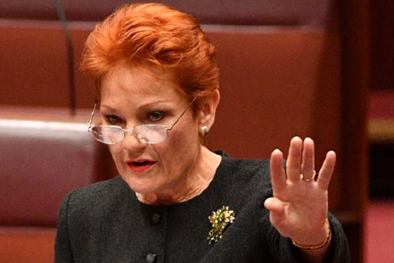 Pauline Hanson says other issues should be prioritised – and has provided a list.