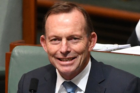 &#8216;Vengeful&#8217; Abbott being urged to retire at next election