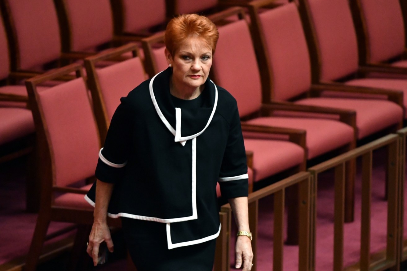Pauline Hanson in the Senate yesterday during the division on tax cuts.