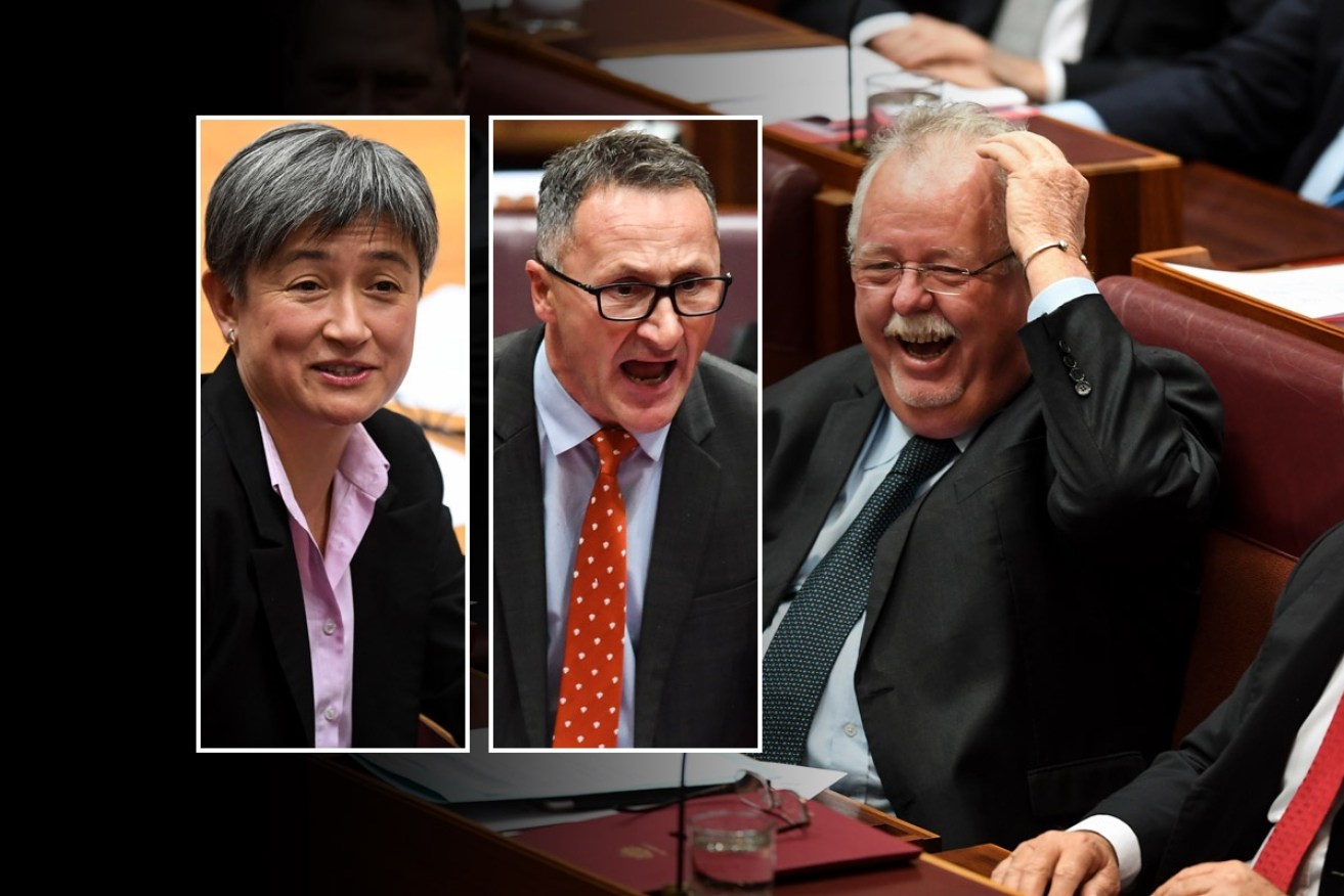 Greens leader Richard Di Natale and Labor’s Penny Wong launched a blistering attack.