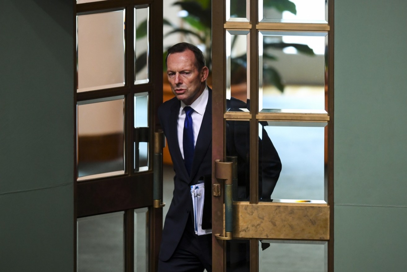 MPs are calling on Tony Abbott to quit politics.