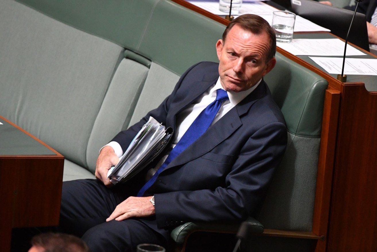 Tony Abbott said he didn't "rule any of those things [party leadership and being PM] out".   