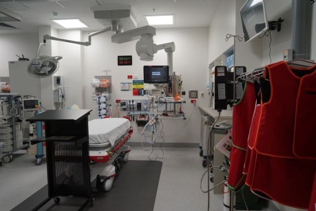 Palmerston Regional Hospital opens, bringing second major medical facility to Darwin region