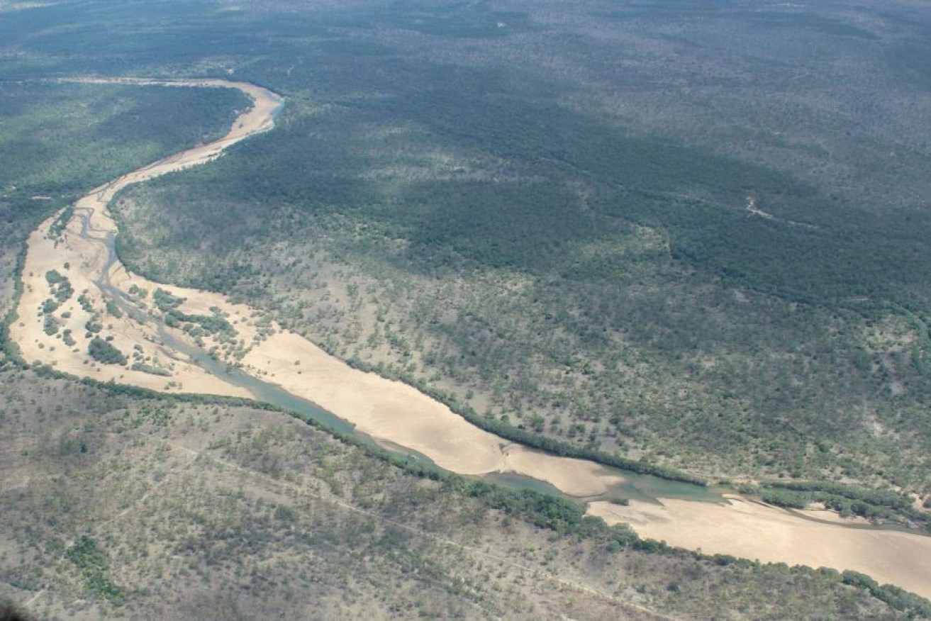 The CSIRO says construction of new dams along the Mitchell River could support up to 140,000 hectares of year-round irrigation.