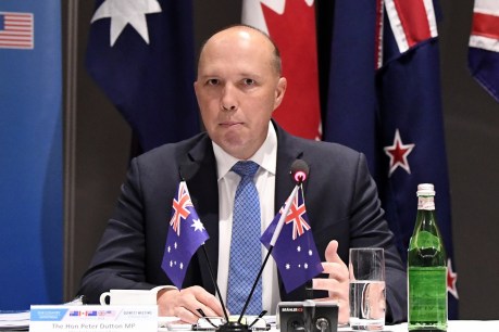 Peter Dutton&#8217;s right to sit in Parliament is in grave doubt: Constitutional expert