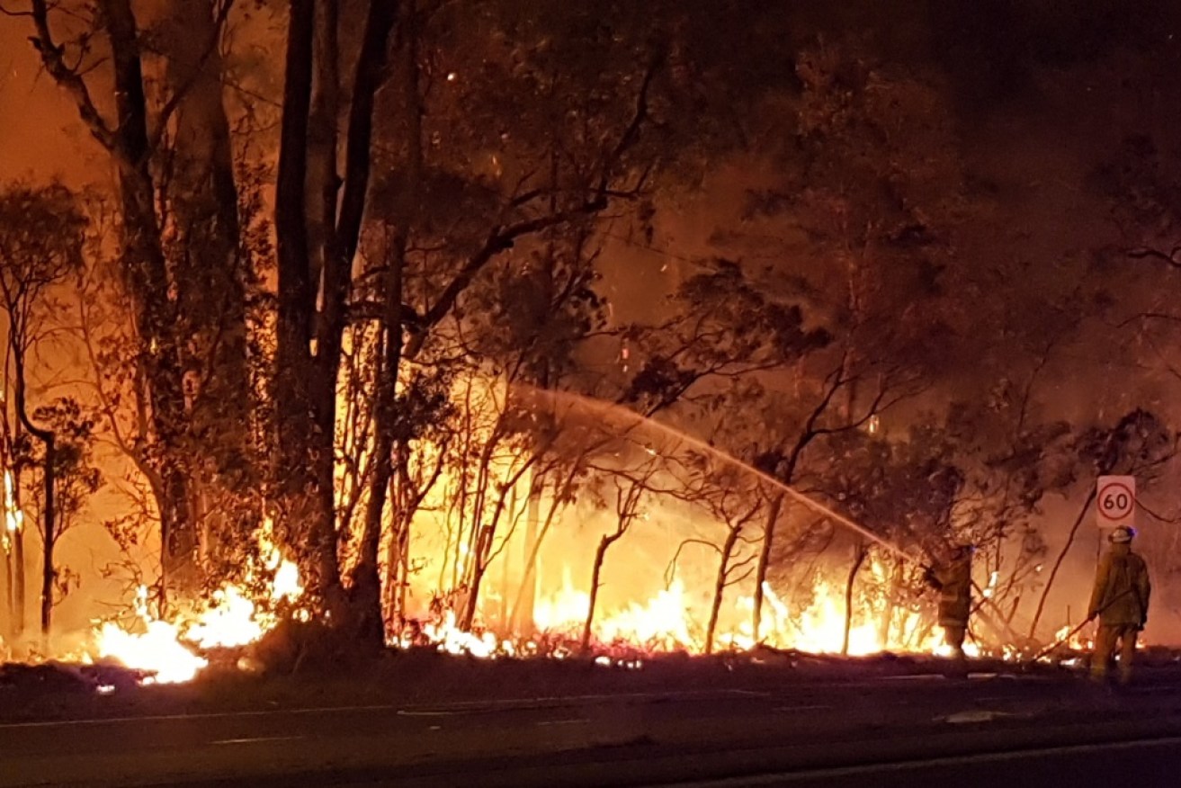 NSW firefighter Greg Mullins said: "This is the worst bushfire season buildup that I can remember."