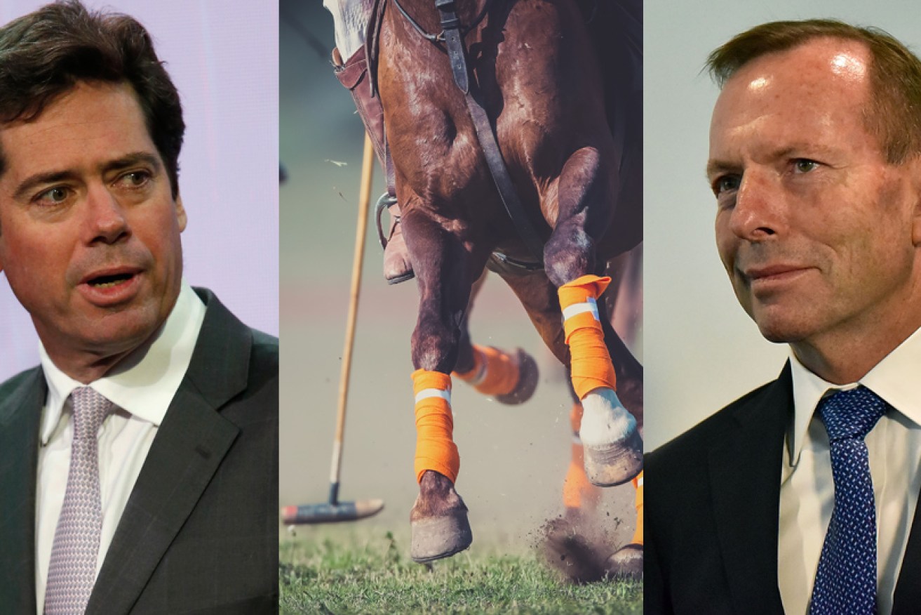 AFL boss Gillon McLachlan contacted another Liberal office over a visa, this time Tony Abbott's.
