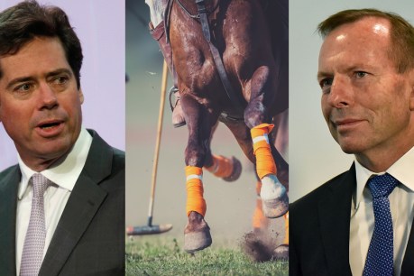 &#8216;Friend of a friend&#8217;: Polo players, au pairs get high-level Liberal Party access