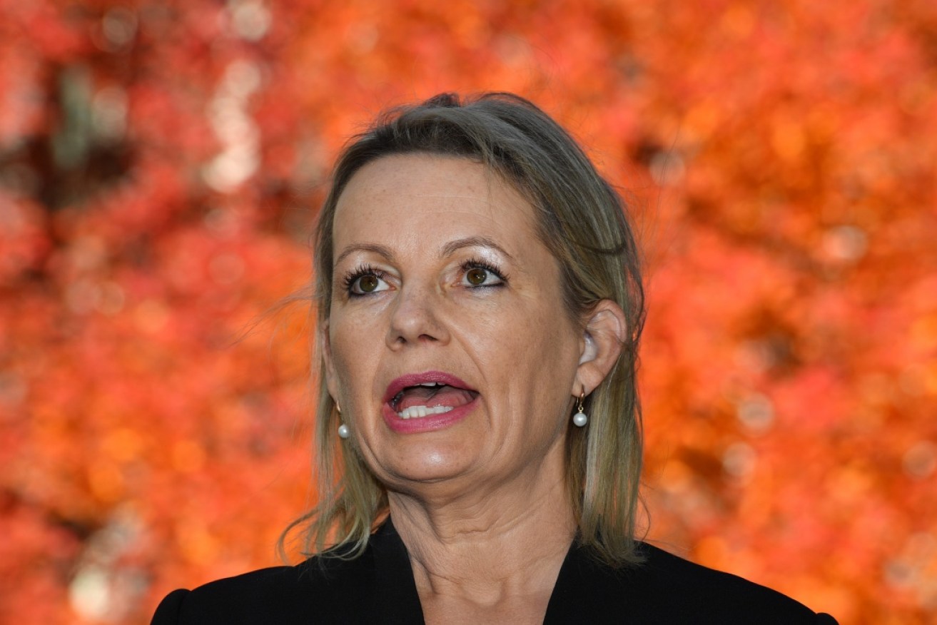 Sussan Ley, the surprise environment minister, has been making quiet gaffes. <i>Photo: AAP</i>