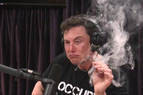 &#8216;That did not inspire confidence&#8217;: NASA tells Elon Musk to stop drinking and smoking pot