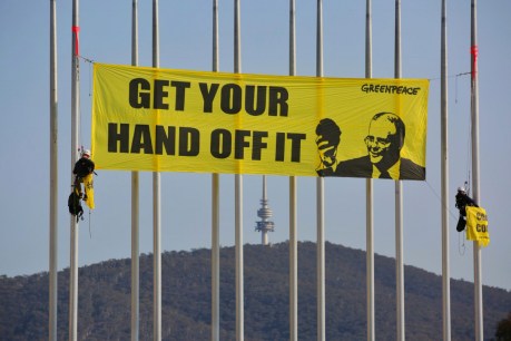 Coal protesters hanging on Parliament flagpoles