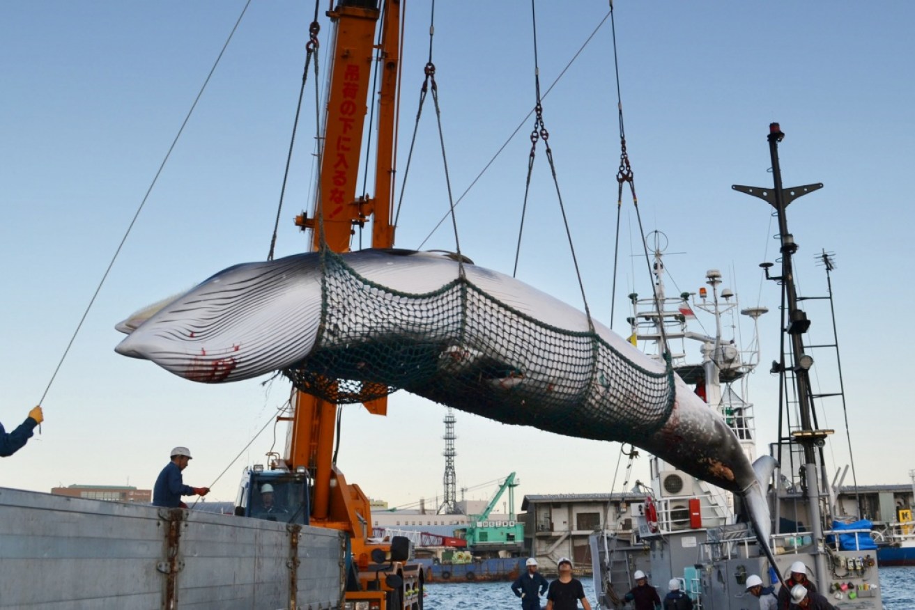 Japan has presented a proposal to lift an international ban on whaling at a meeting in Brazil.