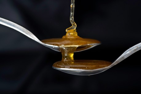 What is fake honey, and why didn&#8217;t official tests pick it up?