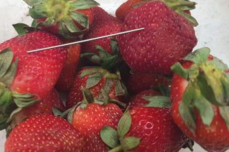 New strawberry scare as two cases of needle contamination investigated