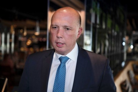 Emails show Peter Dutton&#8217;s role in intervening to grant visas to European au pairs