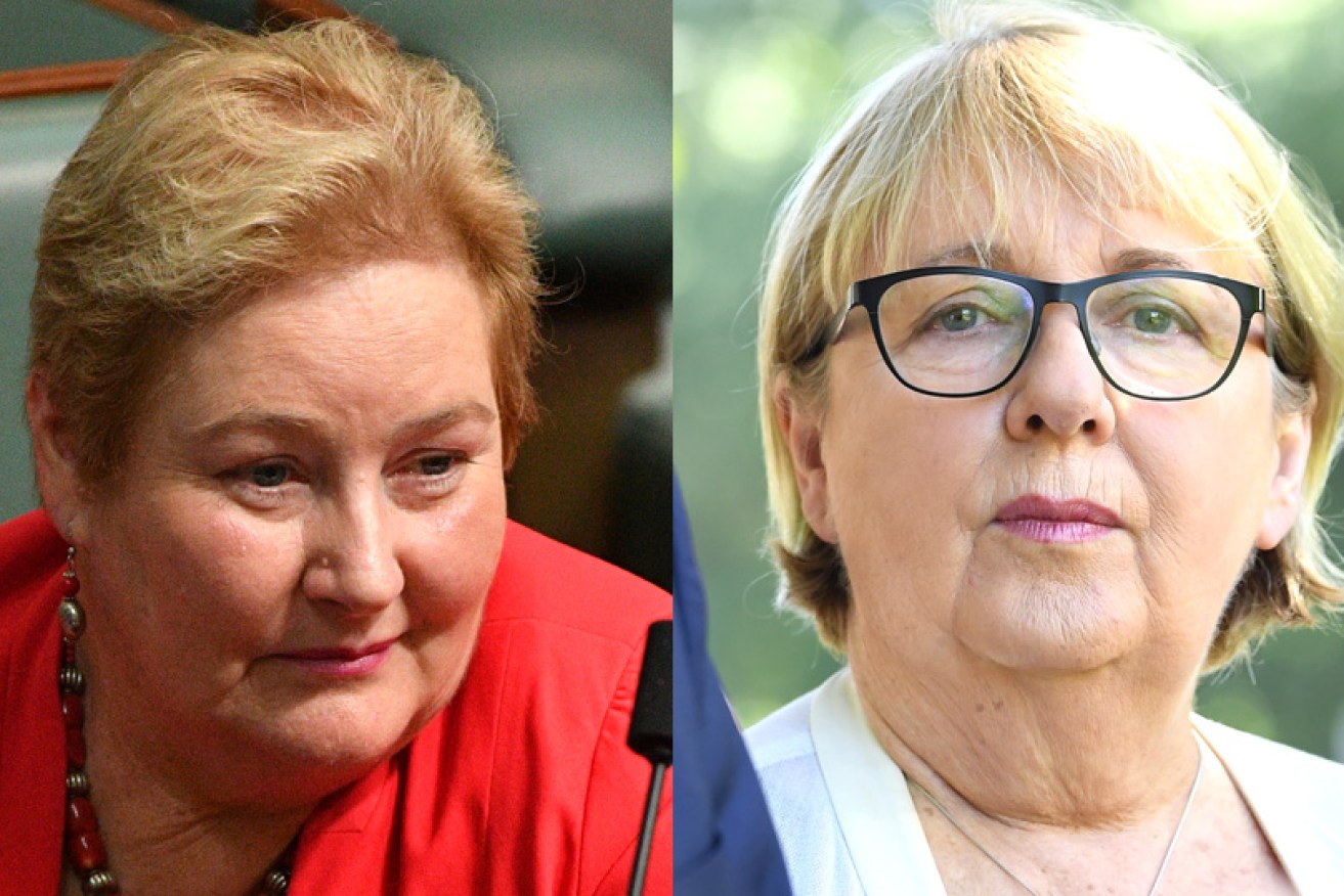 Ann Sudmalis and Jenny Macklin will spend 12 weeks at the United Nations, and then leave public life.