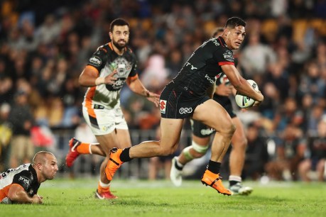 &#8216;The standout&#8217;: The Kiwi tipped to win this year&#8217;s Dally M Medal