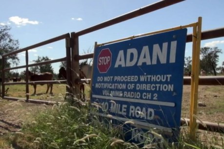 Adani plans to take almost as much as all farmers combined, with one denied licence
