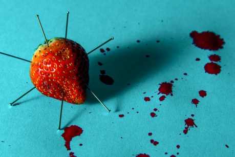 Who is the strawberry saboteur? Inside an &#8216;egocentric&#8217; mind