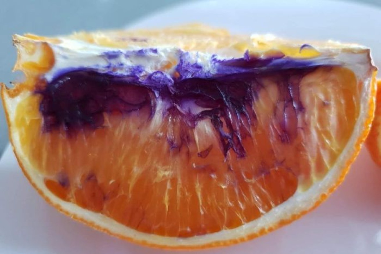 This orange went purple hours after it was cut up at Neti Moffit's home.